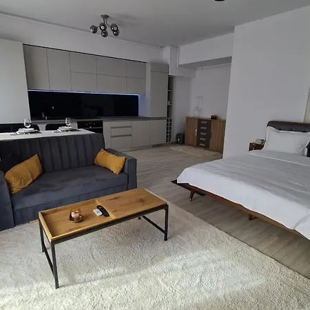 Apartment Swiss 8
